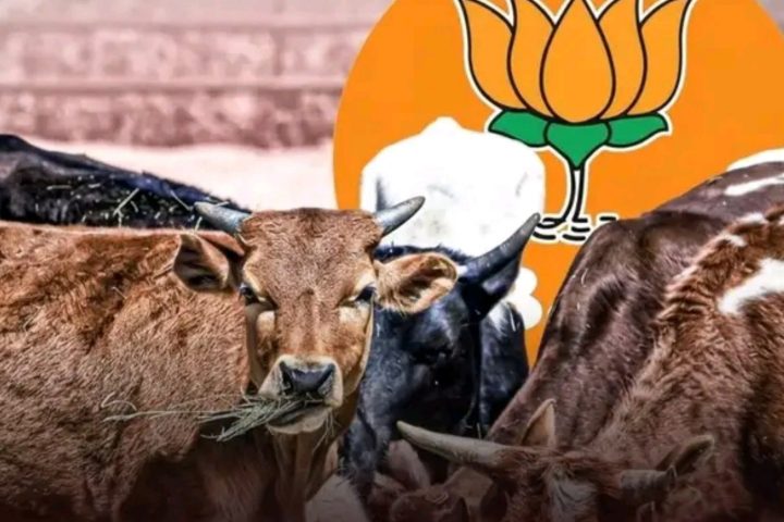 West Bengal Cattle Rules