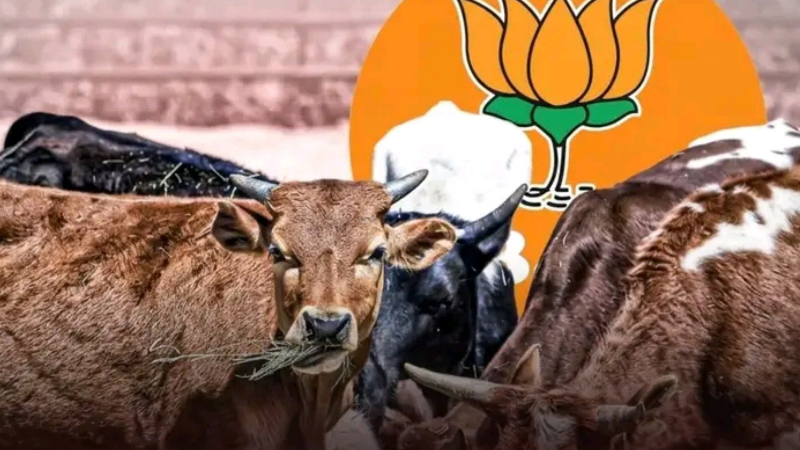 West Bengal Cattle Rules