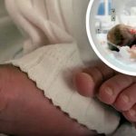 Heat-Related Pregnancy Risks