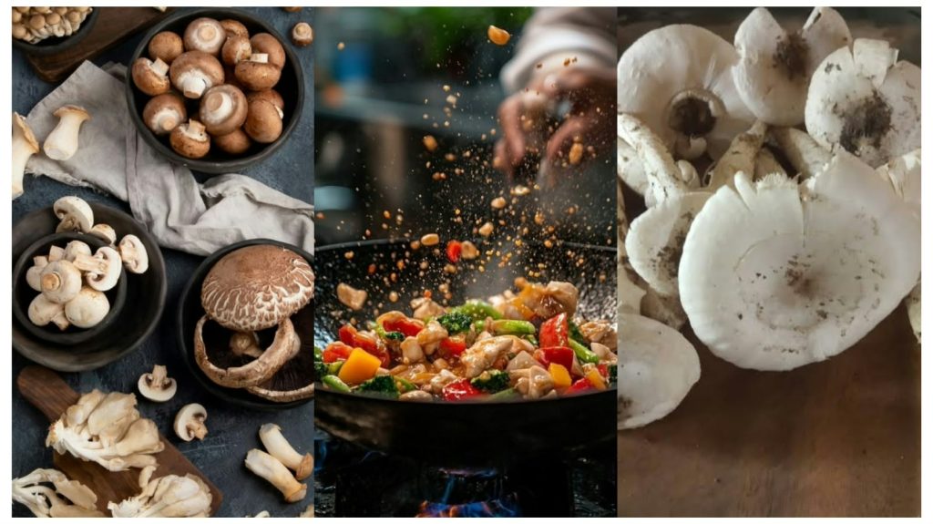 Prized Mushrooms of Bangladesh