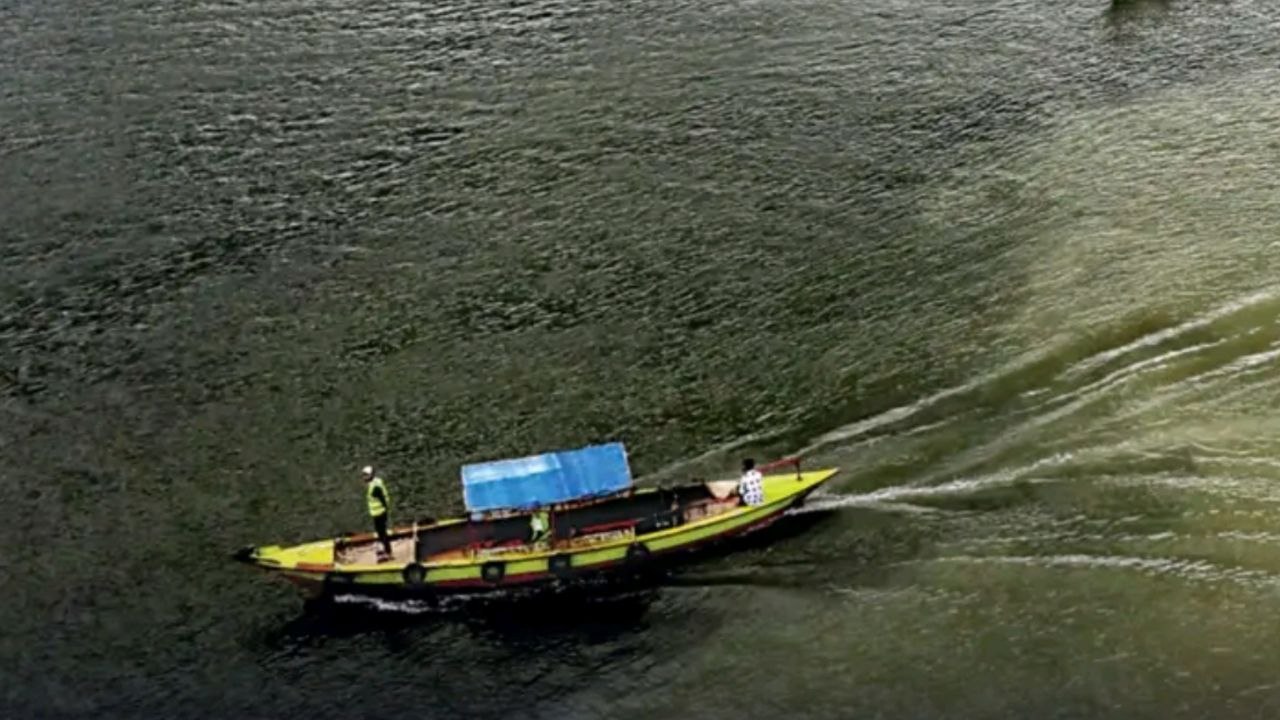 River Pollution