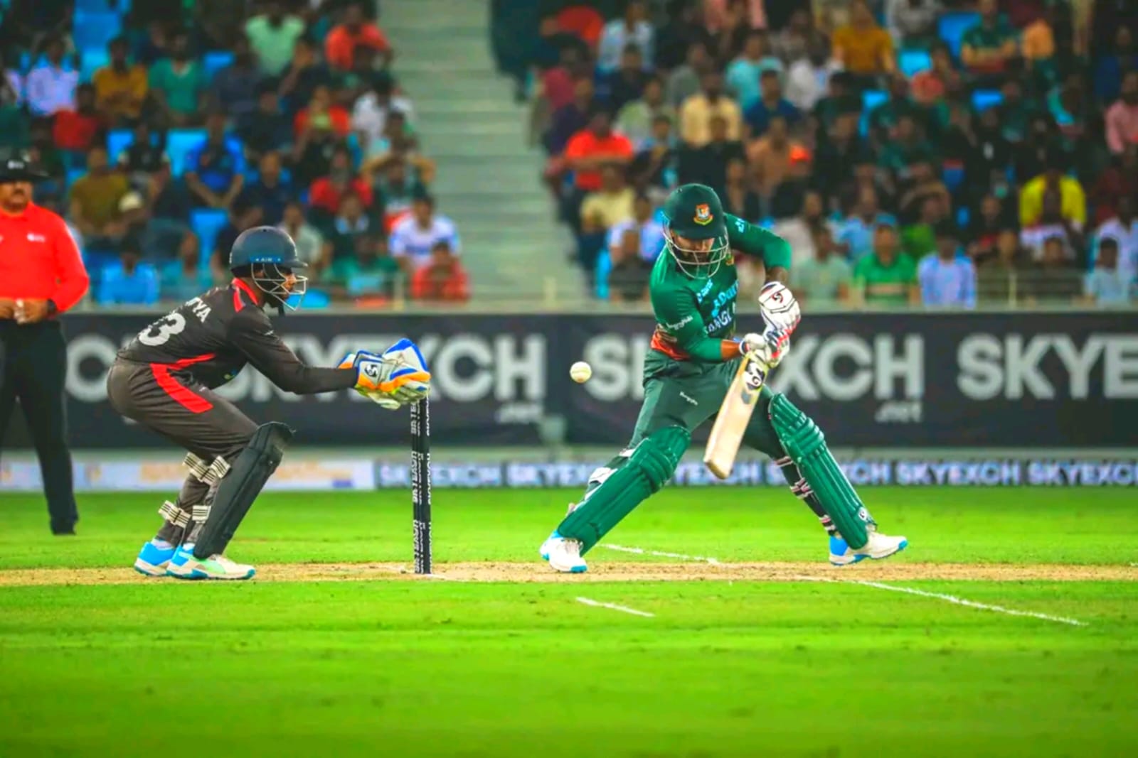 Cricket