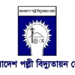 Rural Electricity
