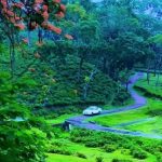 Sreemangal