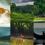 Sundarbans , cox's bazar,Tea garden etc
