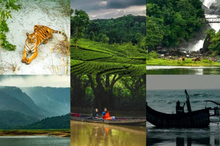 Sundarbans , cox's bazar,Tea garden etc