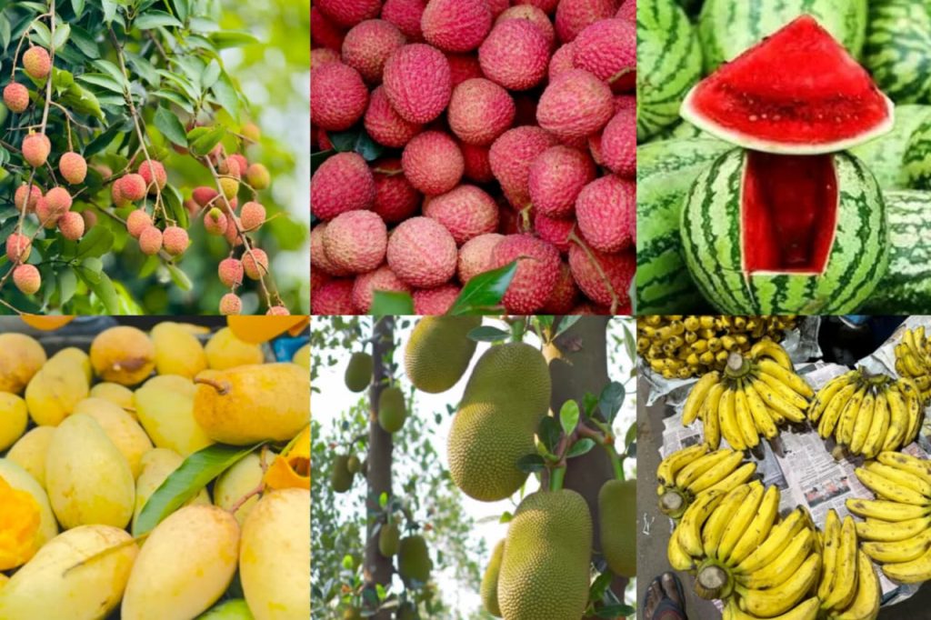 Seasonal Fruits in Bangladesh