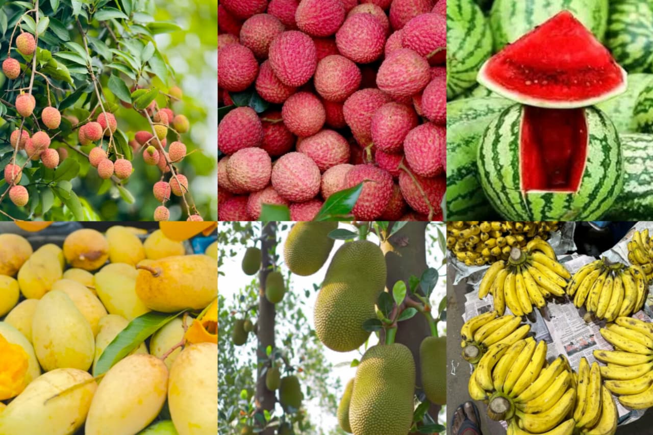 Seasonal Fruits in Bangladesh