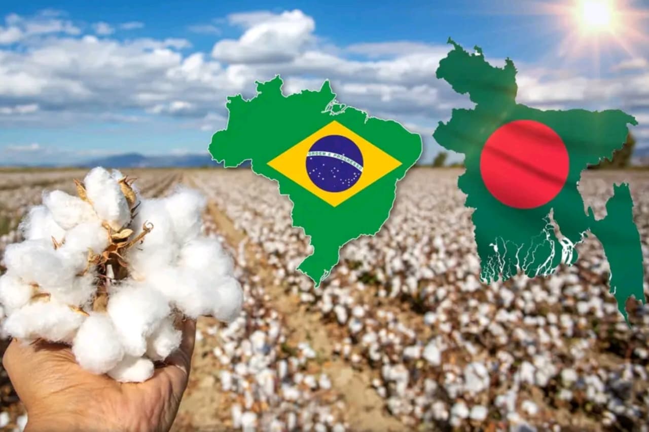 Bangladesh cotton imports