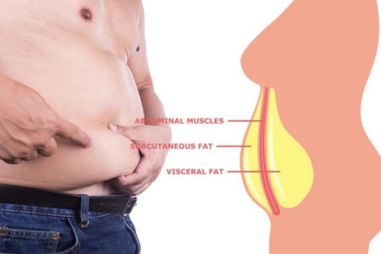 Dangerous Belly Fat