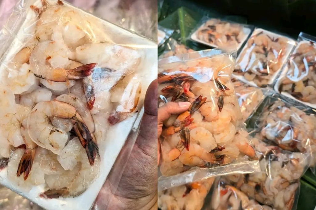 Shrimp Exports