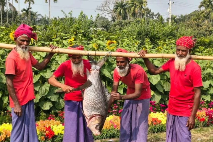 Village Grandpas Cooking