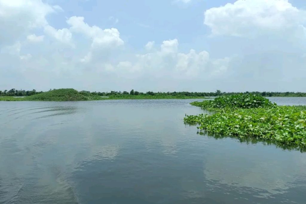Chalan Beel