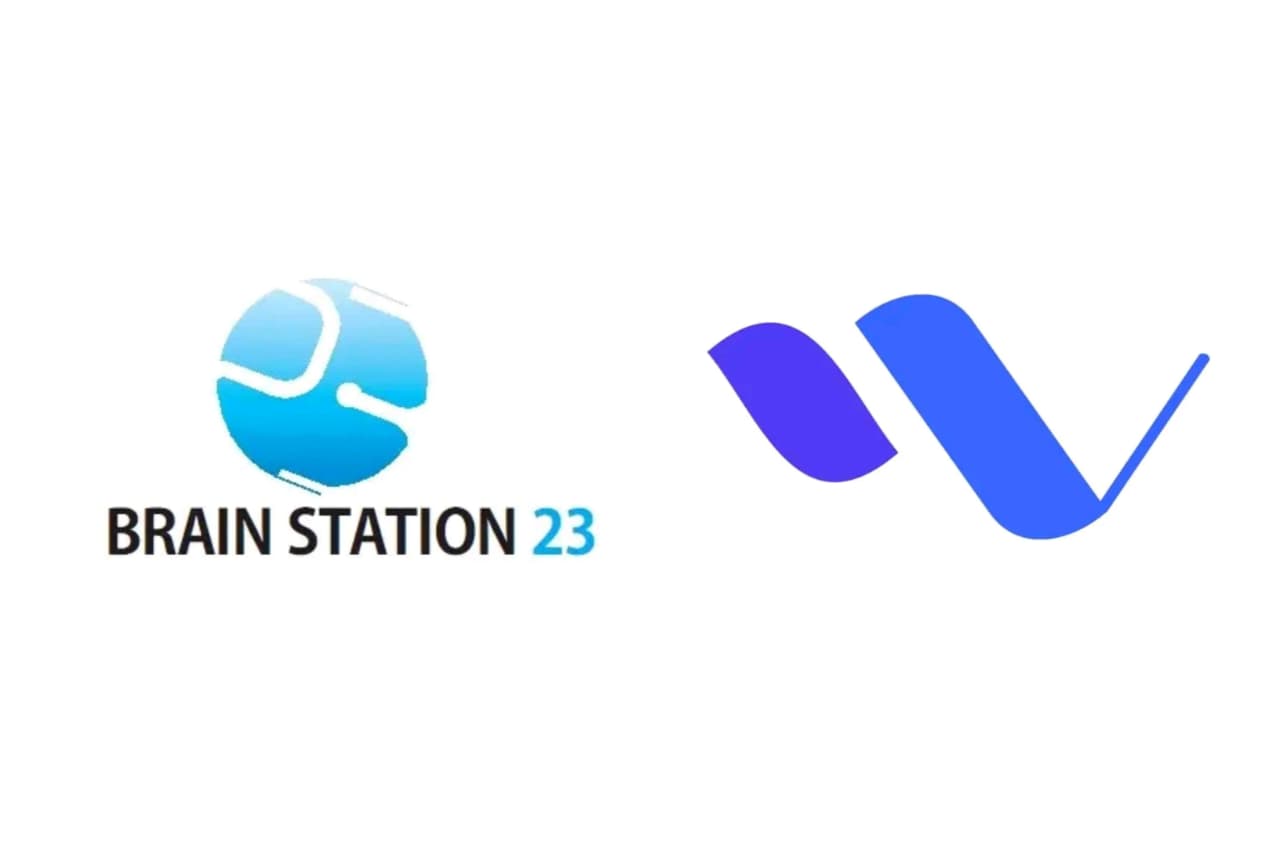 Brain Station 23 & Vivasoft