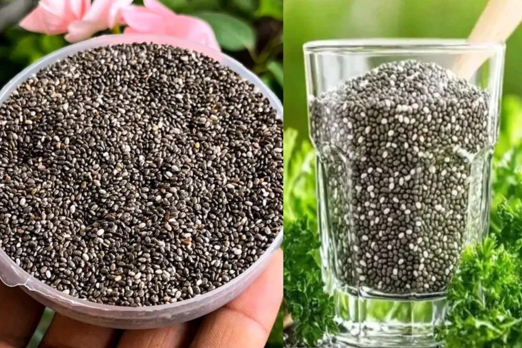 Chia Seeds