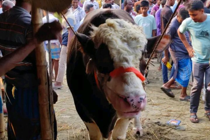 Eid-ul-Azha 2026
