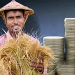 farmer