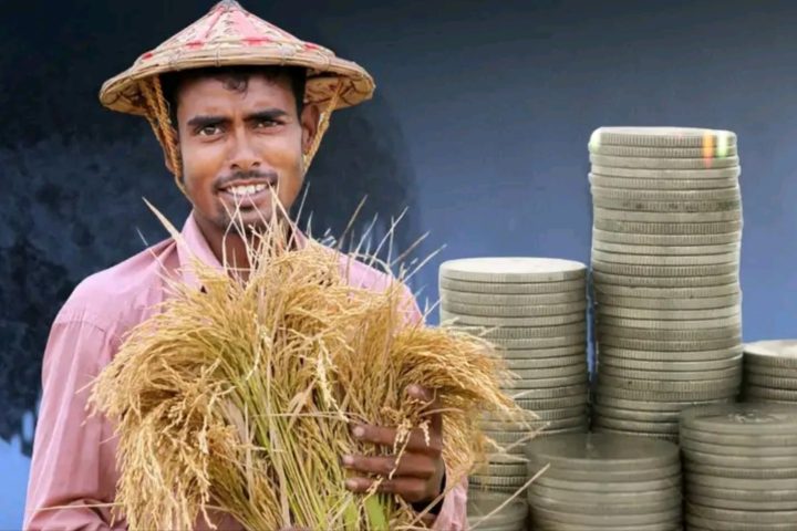 farmer