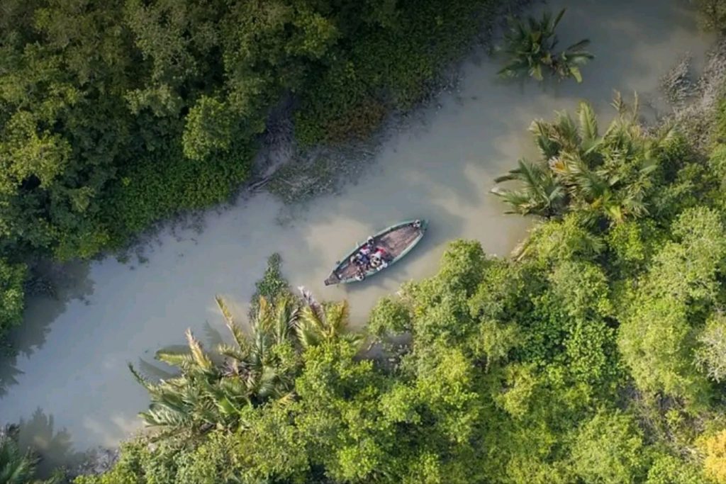 The Sundarbans will remain closed from June 1 to August 31, 2026, to protect wildlife. Check closure reasons, refund policies, and reopening plans.